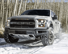 Full-Size SUV:Truck or Mini-VAN Exterior Detail